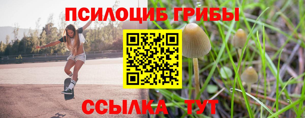 Псилоцибиновые грибы GOLDEN TEACHER  Вход с VPN  Грязи 