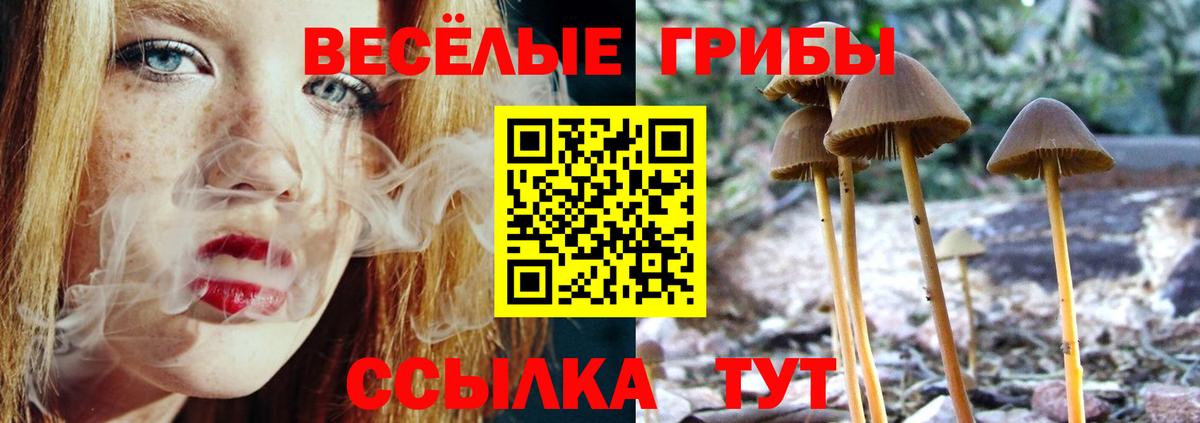 Псилоцибиновые грибы Psilocybine cubensis Грязи